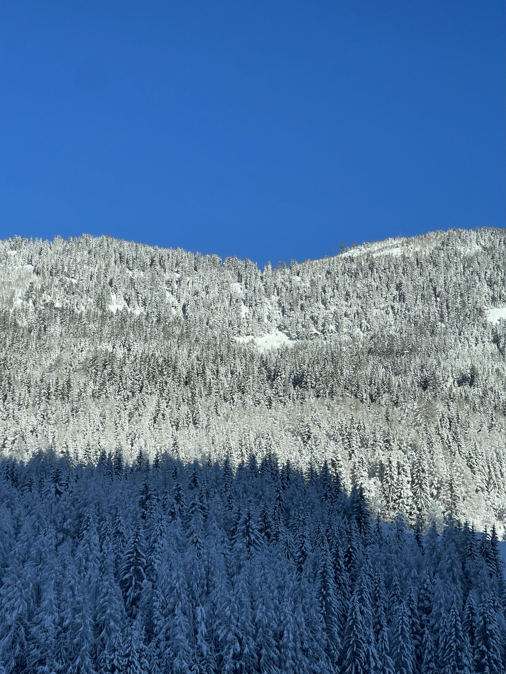 Mehr über den Artikel erfahren Unser wichtigstes Gut