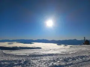 Mehr über den Artikel erfahren Tag der neuen Freundschaften