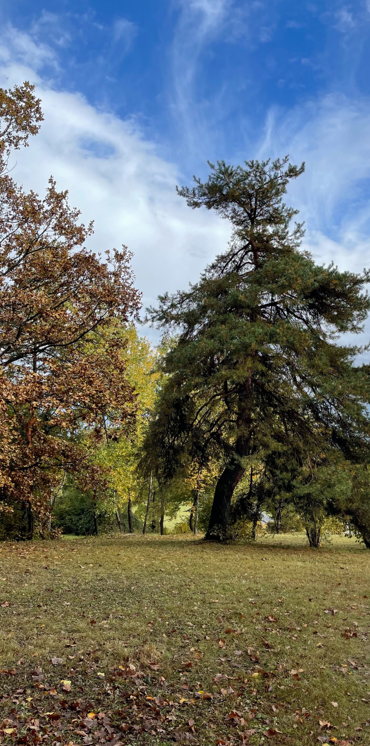 Mehr über den Artikel erfahren Der Umgang mit Schmerzen im Alltag