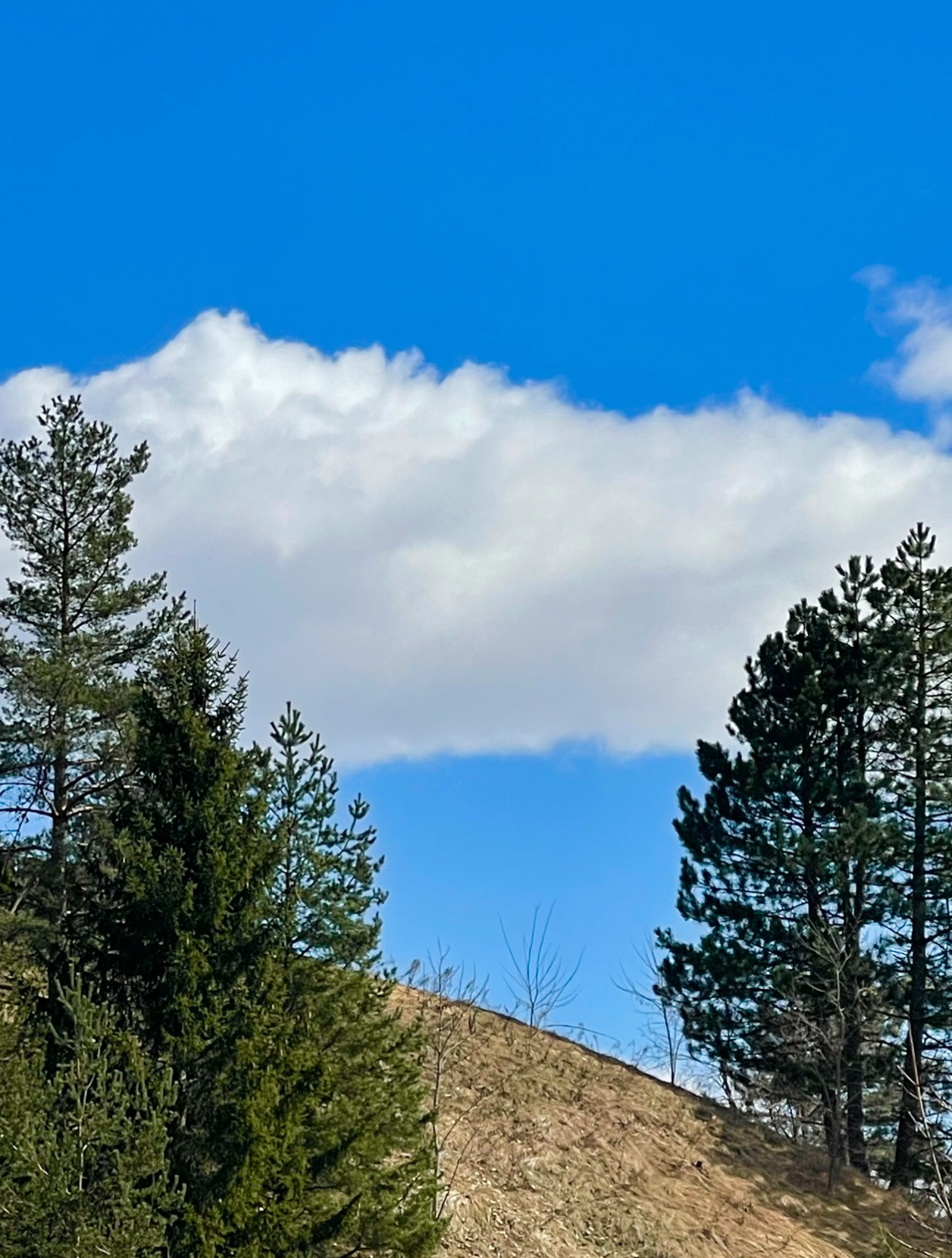 Mehr über den Artikel erfahren Wie können wir unsere Gesundheit schützen?