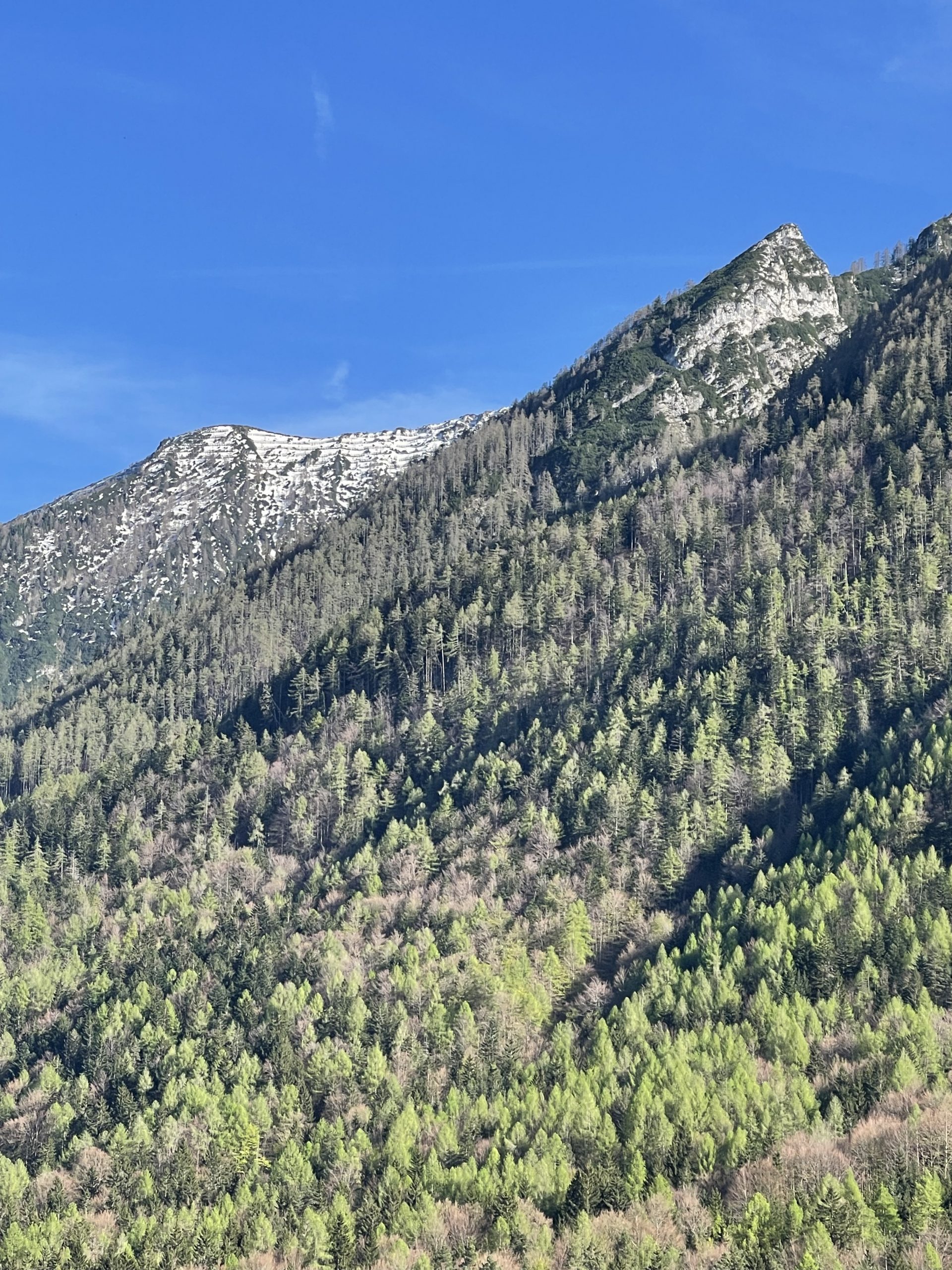 Mehr über den Artikel erfahren Die Kunst der Entscheidungsfindung: Wege zur Überwindung der Paralyse der Wahl