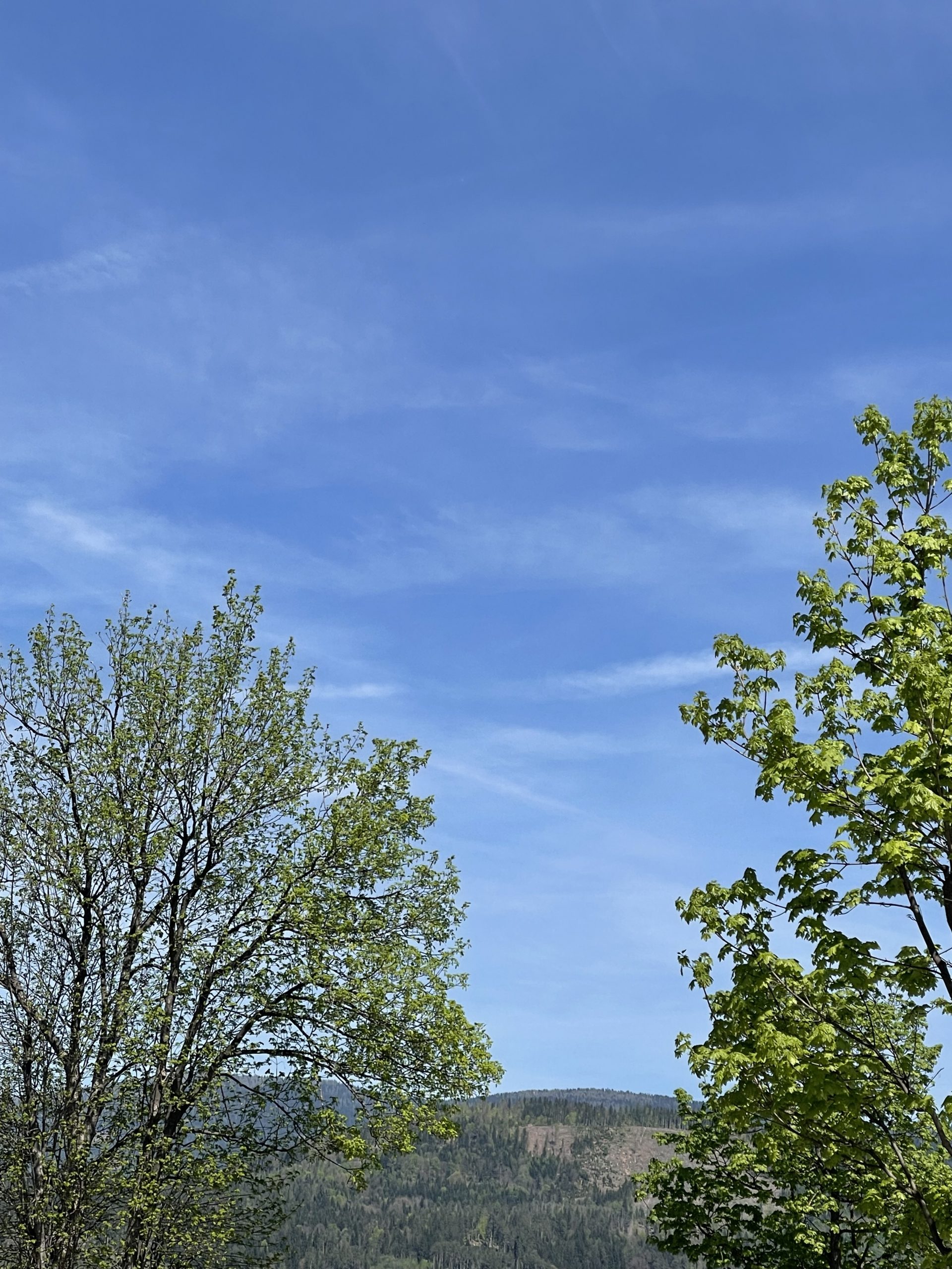 Mehr über den Artikel erfahren “Nein” – Warum es manchmal so schwer ist, zu verweigern