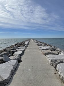 Mehr über den Artikel erfahren Die Psychologie des Selbstmitgefühls: Wie Selbstmitgefühl das Wohlbefinden fördert