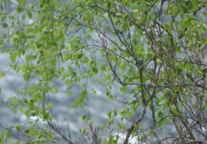 Mehr über den Artikel erfahren Zeitmanagement als Basis für Entschleunigung