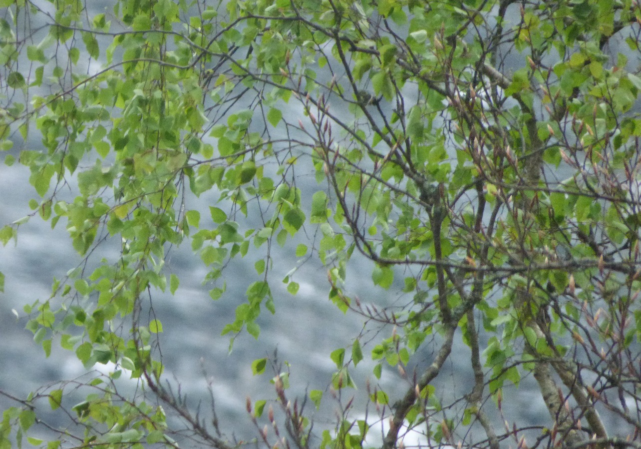 Mehr über den Artikel erfahren Zeitmanagement als Basis für Entschleunigung