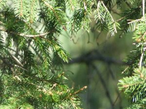 Mehr über den Artikel erfahren Prokrastination überwinden: Der Weg zur Veränderung