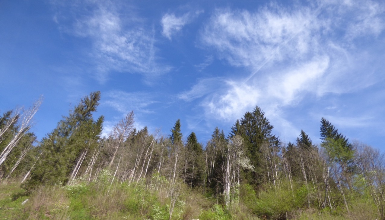 Mehr über den Artikel erfahren Der Tag der Arbeit aus psychologischer Perspektive: Die Tiefe der beruflichen Erfahrung erkunden