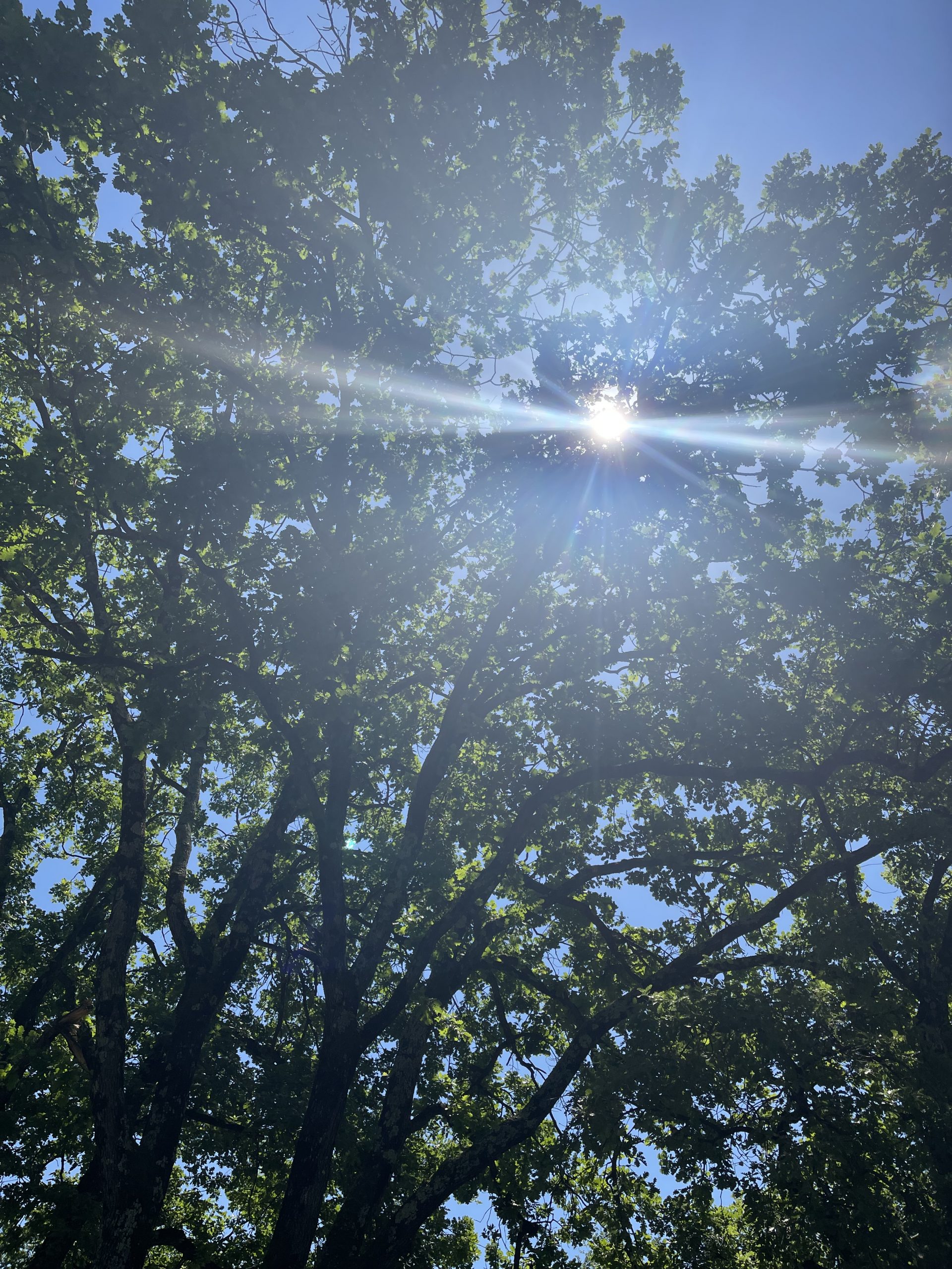 Mehr über den Artikel erfahren Die Ernährung und die psychische Auswirkungen