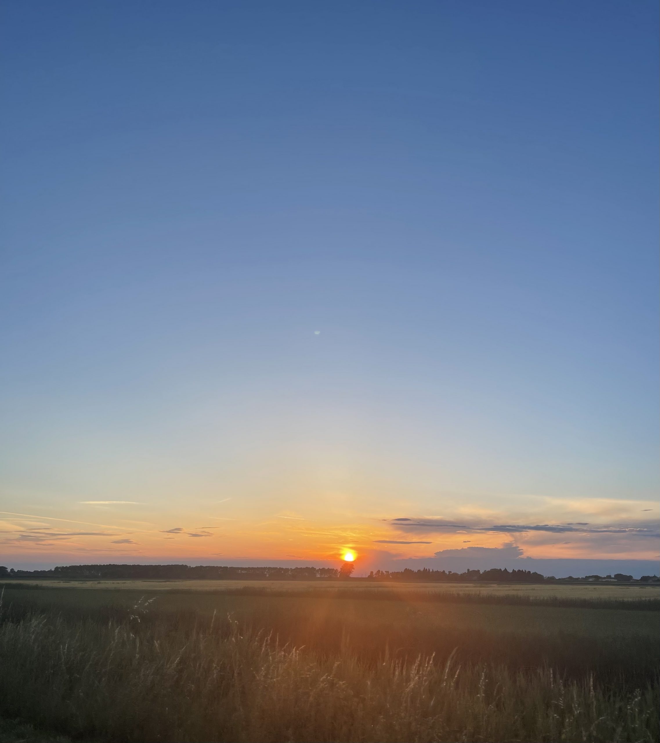 Mehr über den Artikel erfahren Berufliche Stressoren: Ursachen und Bewältigungsstrategien