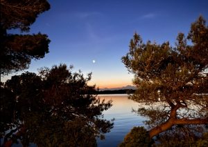 Mehr über den Artikel erfahren Schlafprobleme – Ursachen, Auswirkungen und Lösungen