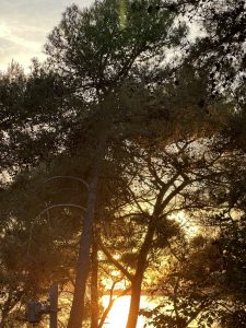 Mehr über den Artikel erfahren Therapie von Schlafproblemen – Ursachen, Ansätze und Tipps