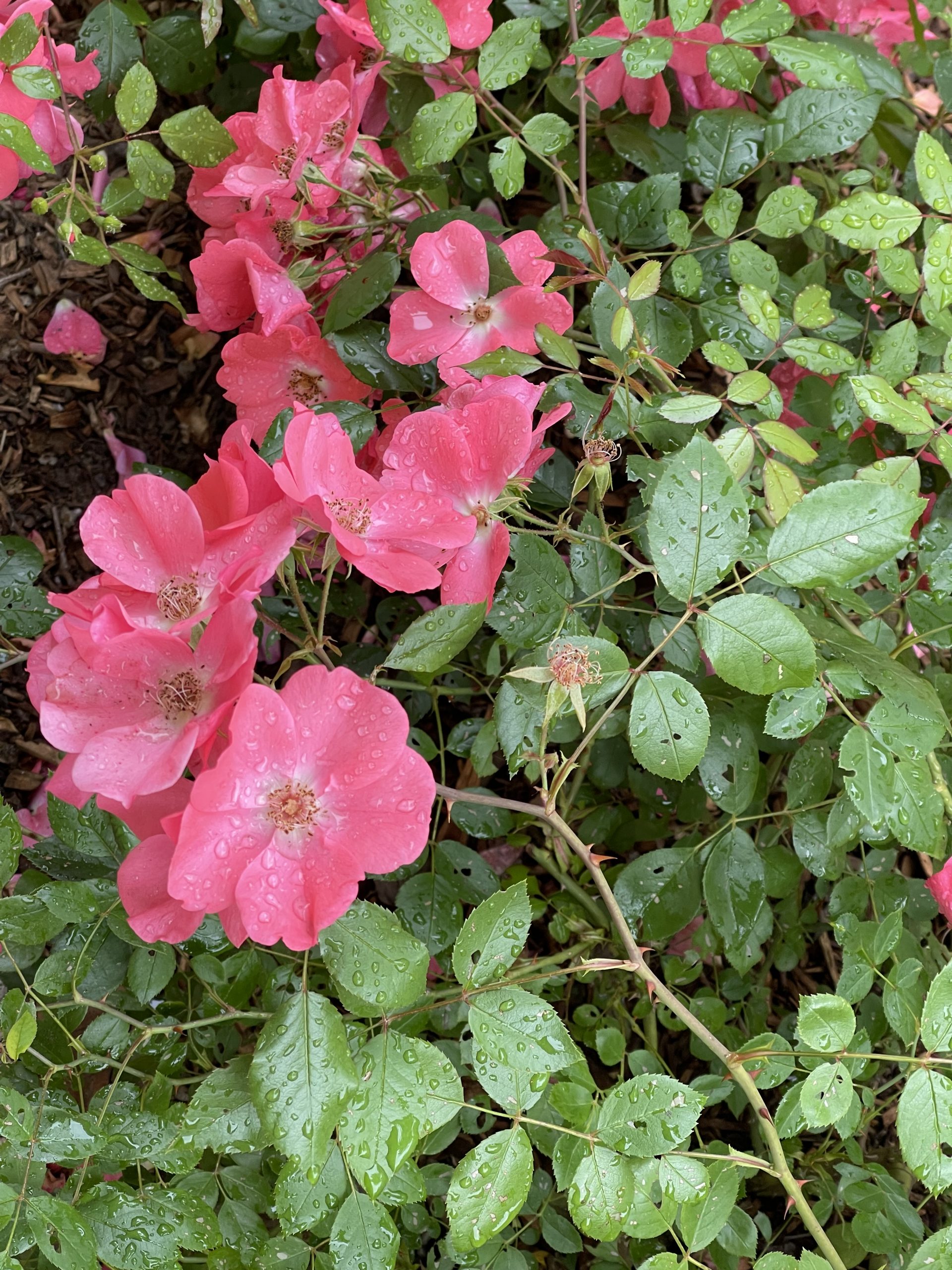 Mehr über den Artikel erfahren Die Herausforderung von zwischenmenschlichen Beziehungen