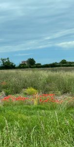 Mehr über den Artikel erfahren Stress beeinflusst unser Essverhalten