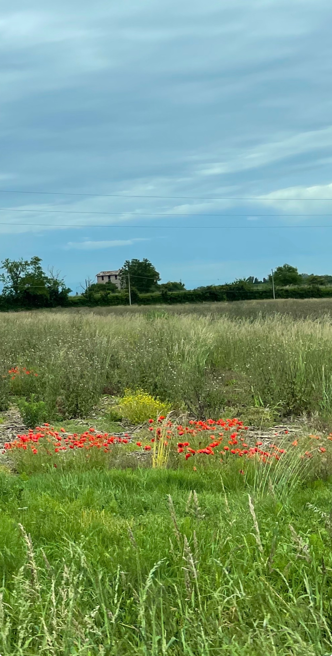 Mehr über den Artikel erfahren Stress beeinflusst unser Essverhalten