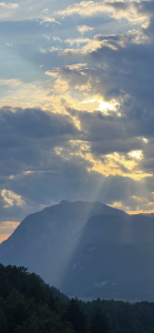 Mehr über den Artikel erfahren Was ist instrumentelle Stresskompetenz?