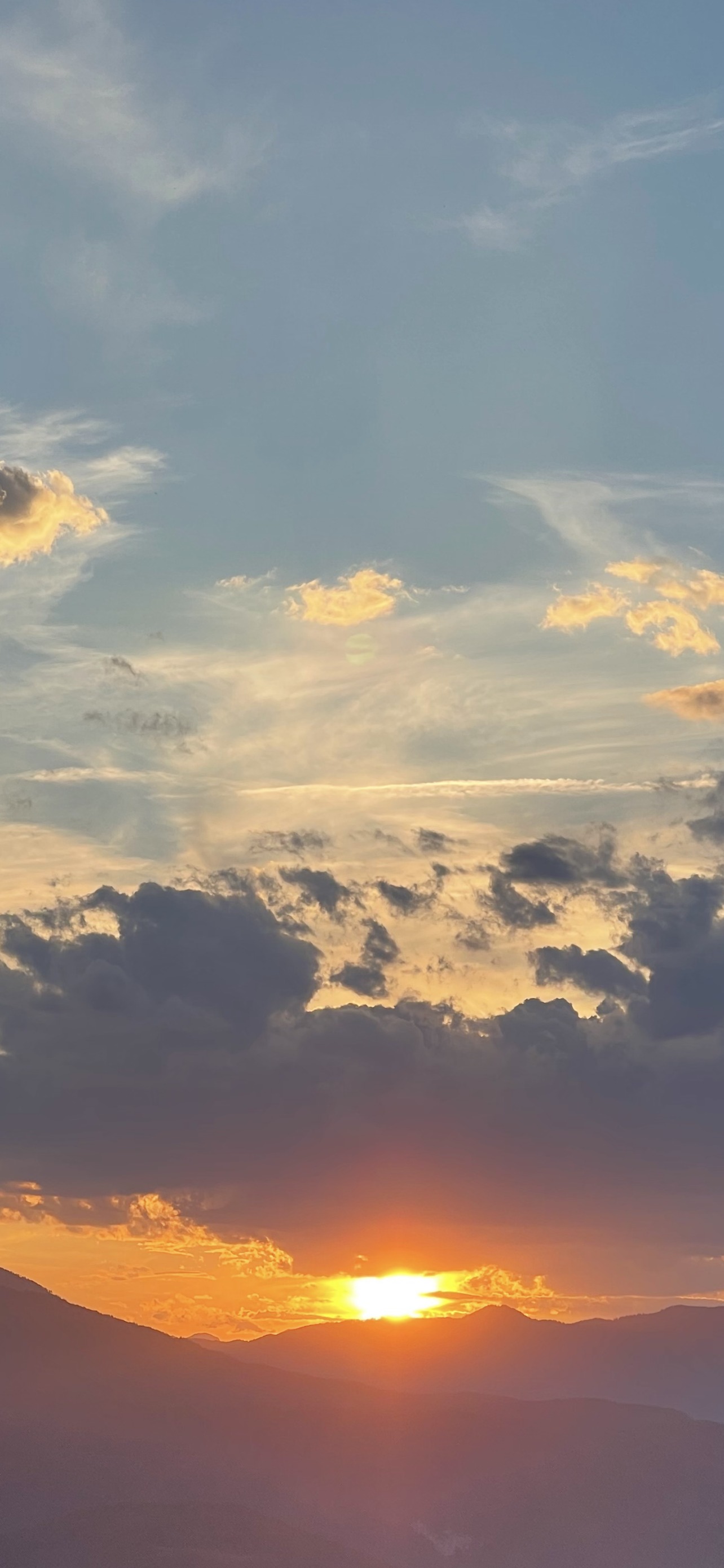 Mehr über den Artikel erfahren Die Freude an der Bewegung: Ein Schlüssel zum Erreichen unserer Ziele