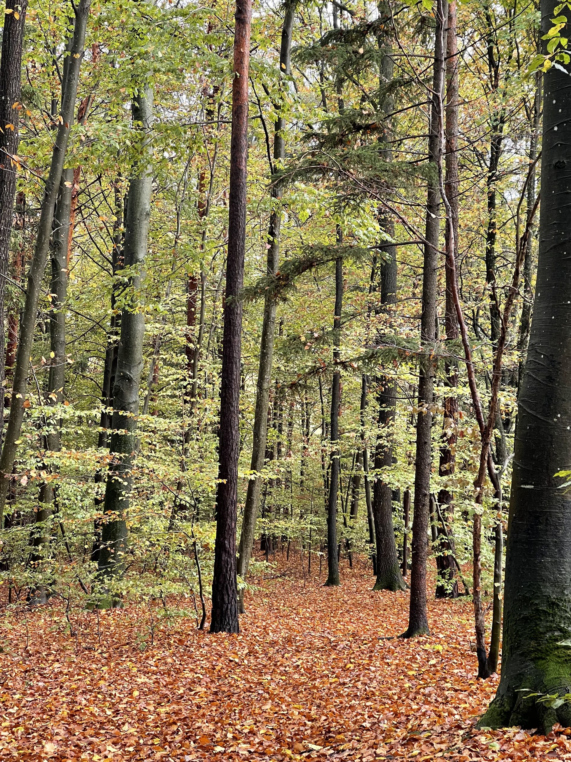 Mehr über den Artikel erfahren Selbstfürsorge