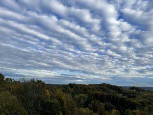 Mehr über den Artikel erfahren …wenn die Tage kürzer werden – Herbstblues