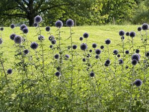 Mehr über den Artikel erfahren Sport – Motivation durch Freude