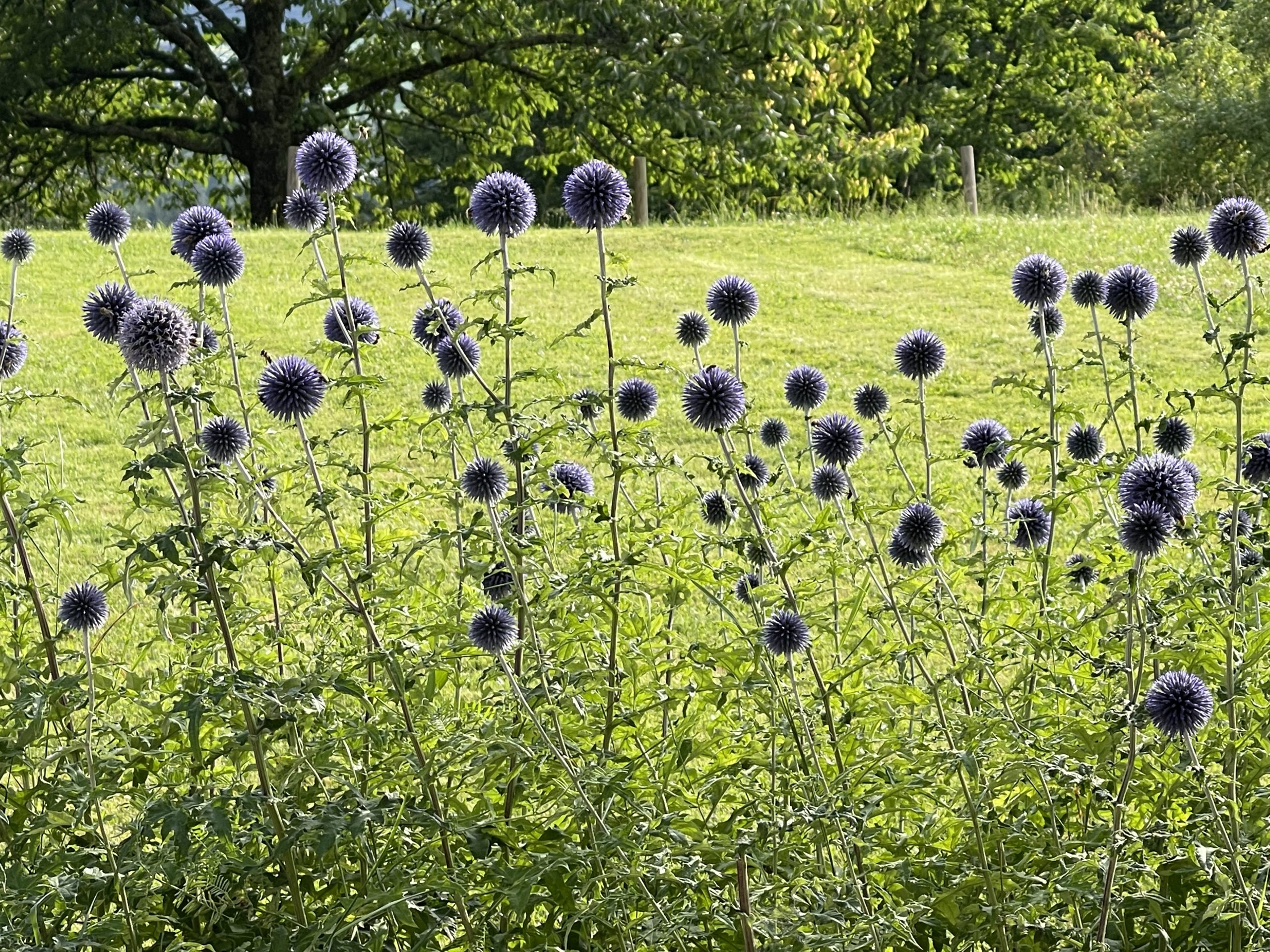 Mehr über den Artikel erfahren Sport – Motivation durch Freude