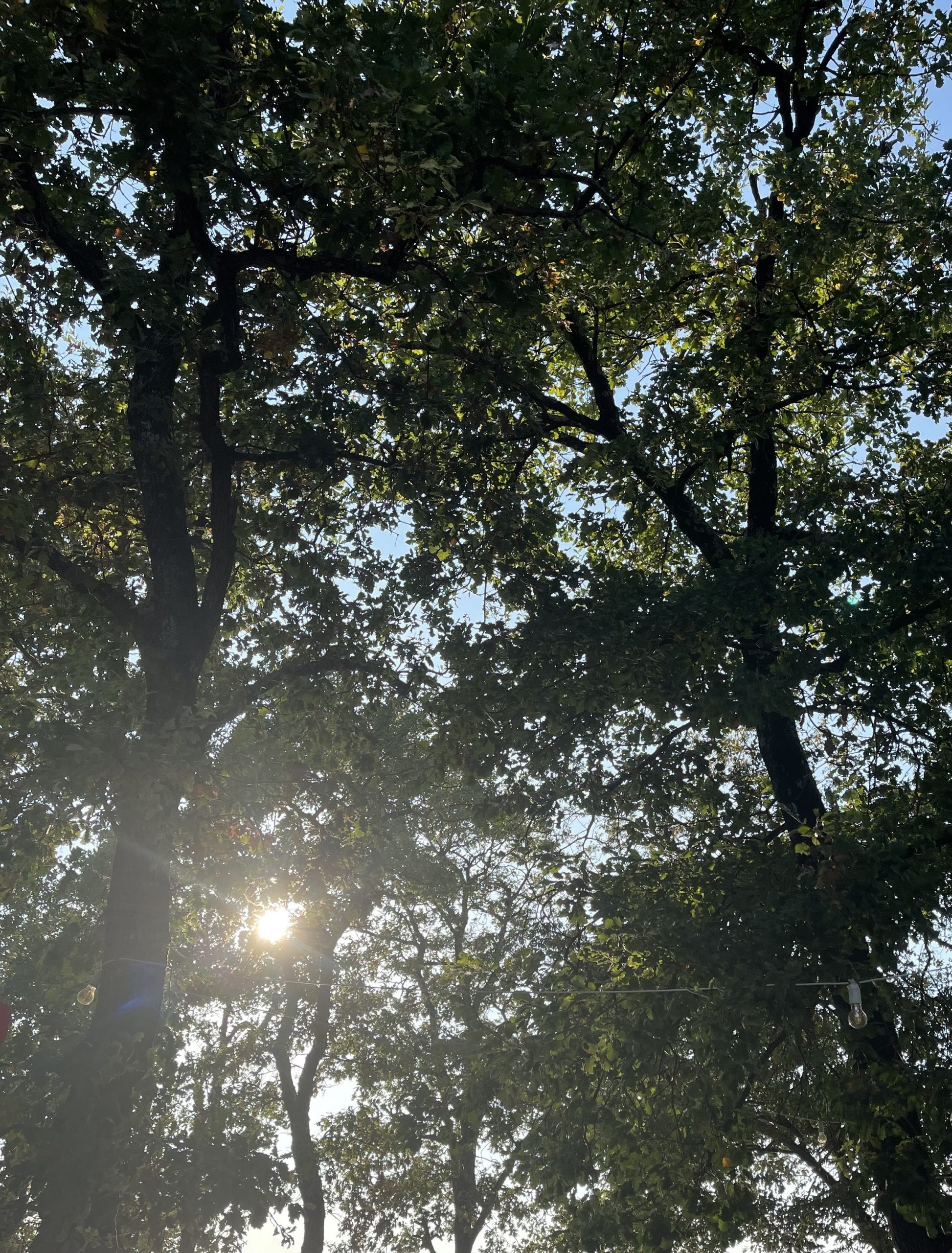 Mehr über den Artikel erfahren Schlanke Körper, das Streben nach Perfektion