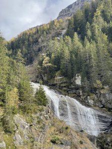 Mehr über den Artikel erfahren Die Mythen rund um den Schlaf