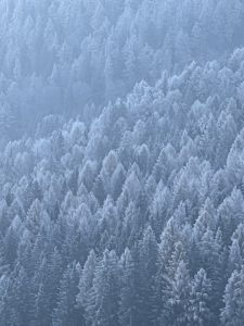 Mehr über den Artikel erfahren Achtsamkeit und Entschleunigung gehen Hand in Hand