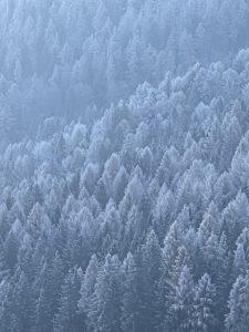Mehr über den Artikel erfahren Achtsamkeit und Entschleunigung gehen Hand in Hand