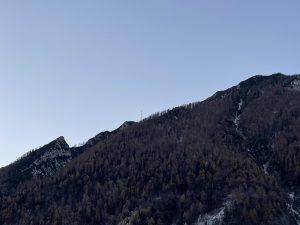 Mehr über den Artikel erfahren Depression: Ein trügerischer Begleiter