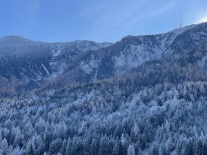 Mehr über den Artikel erfahren Nicht loslassen können