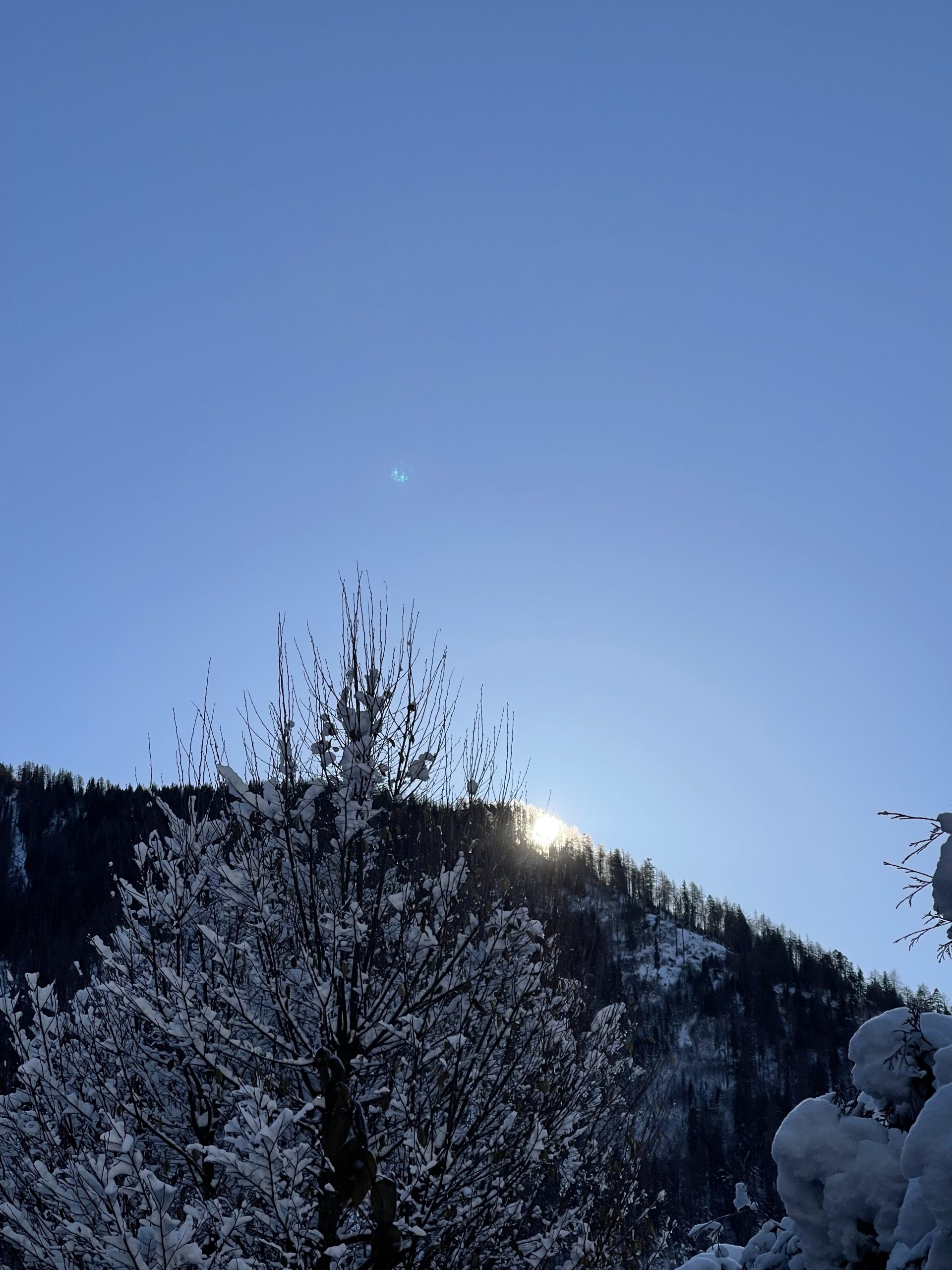 Mehr über den Artikel erfahren Der paradoxe Zusammenhang von Diäten und Gewichtszunahme: Warum Abnehmen oft zur Falle wird