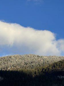 Mehr über den Artikel erfahren Binge