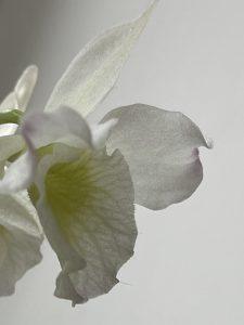 Mehr über den Artikel erfahren Boreout: Wenn Unterforderung krank macht