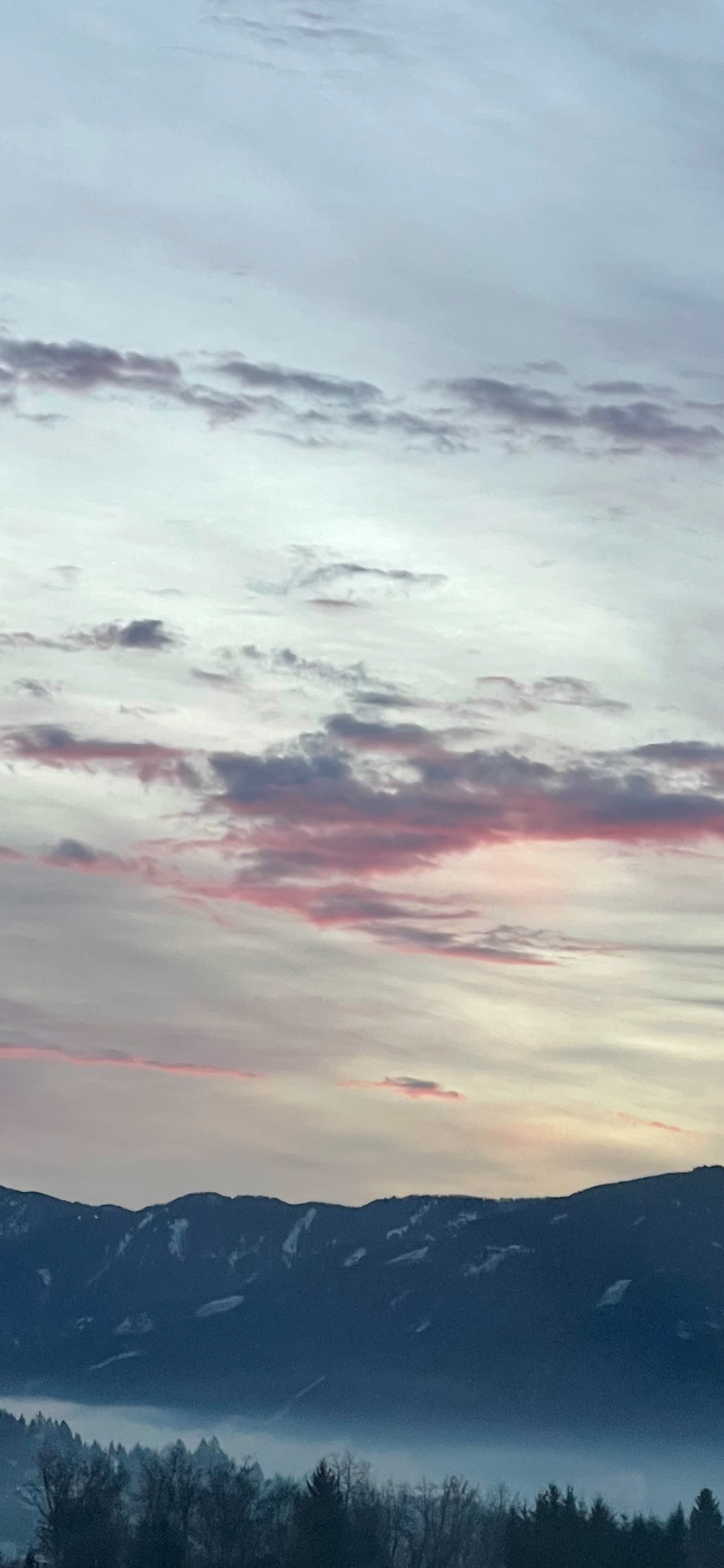 Mehr über den Artikel erfahren ADHS bei Kindern – Wenn die Welt zu laut, zu schnell und zu viel wird