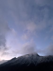 Mehr über den Artikel erfahren Gewaltfreie Kommunikation: Die Kunst des einfühlsamen Dialogs