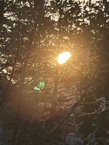 Mehr über den Artikel erfahren Die Kunst des Entscheidens: Zwischen Zweifel und Klarheit