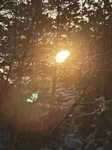 Mehr über den Artikel erfahren Konflikte mit Arbeitskollegen: Psychologische Perspektiven und ihre Auswirkungen