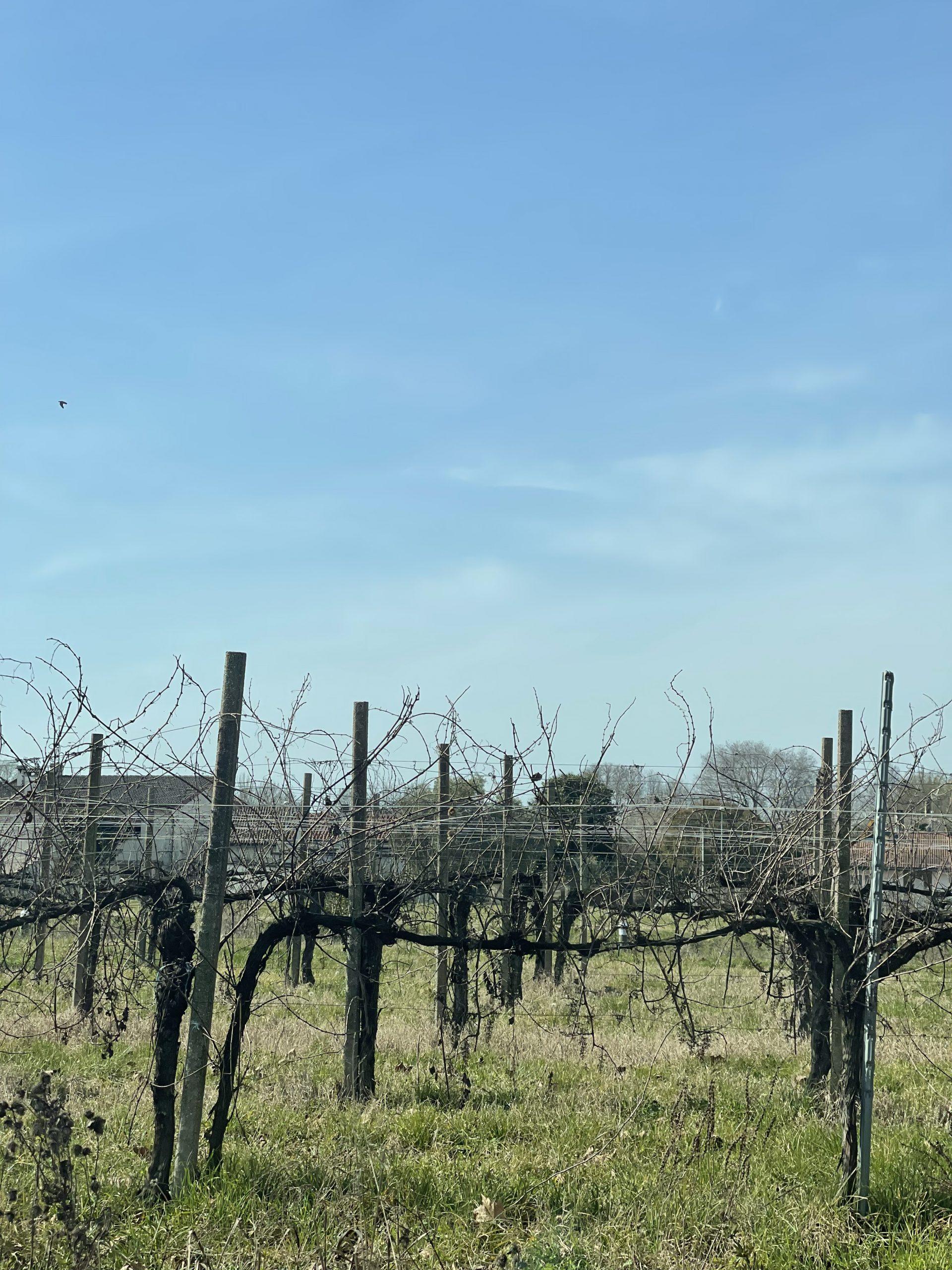 Internet und Social Media Sucht – Wege zu einem gesunden Umgang