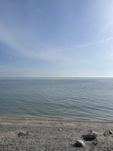 Mehr über den Artikel erfahren Panikattacken – was hilft