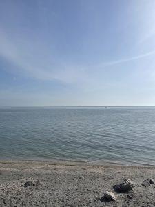 Mehr über den Artikel erfahren Panikattacken – was hilft