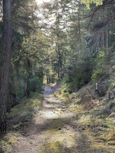 Mehr über den Artikel erfahren Stress und Essverhalten: Wenn der Hunger zu groß wird