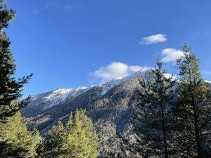 Mehr über den Artikel erfahren Handysucht und ihre Auswirkungen auf die mentale Gesundheit