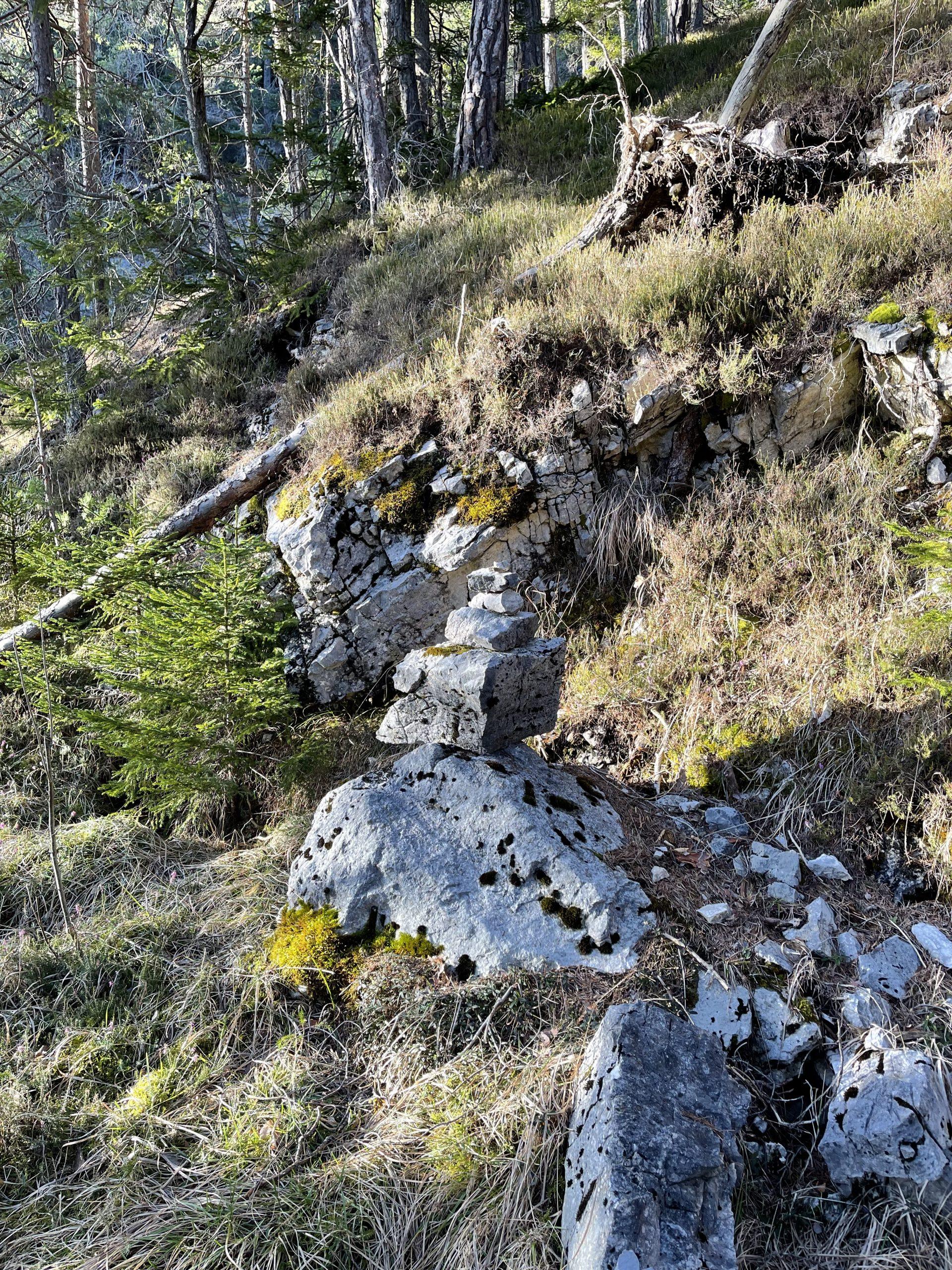 ADHS im Alltag – Zwischen Reizflut, Selbstzweifel und dem Wunsch nach Balance