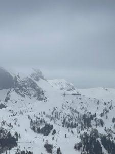 Mehr über den Artikel erfahren Schönheitsideale sind kein harmloser Trend