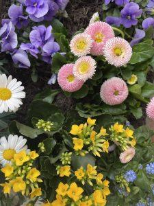 Mehr über den Artikel erfahren Unerfüllter Kinderwunsch – Wenn das Herz wartet