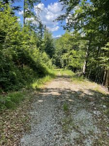 Mehr über den Artikel erfahren Wenn Spannung Angst macht – und wie wir mit Atmung gegensteuern können