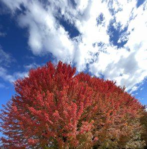 Mehr über den Artikel erfahren Schulstress: Psychologische Perspektiven und Wege zum Umgang