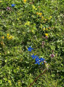 Mehr über den Artikel erfahren Verlustängste