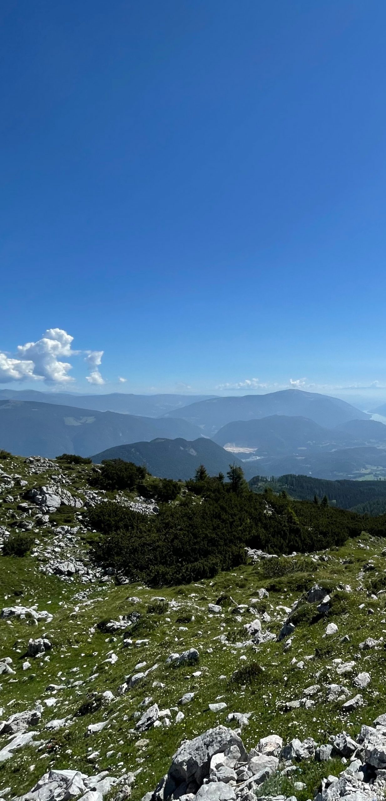 Mehr über den Artikel erfahren Mit Teenagern umgehen – Eine psychologische Betrachtung