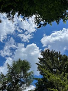 Mehr über den Artikel erfahren Warum Stress das Abnehmen so schwer macht: Der psychologische Einfluss von Cortisol